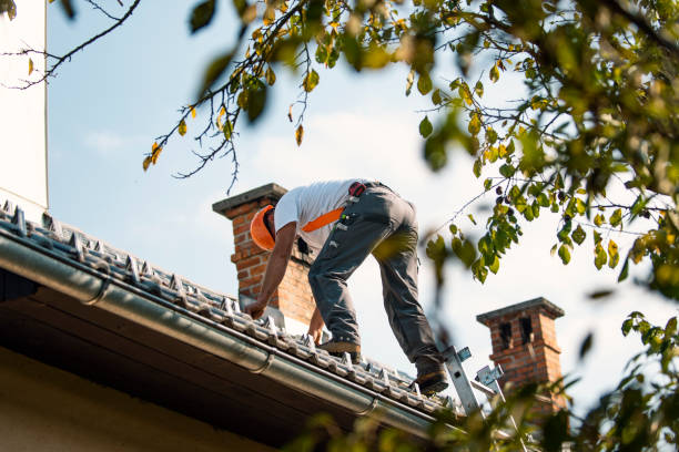 Best Sealant for Roof  in Hudson, IA