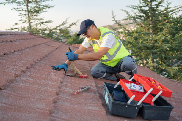 Best Roof Leak Repair  in Hudson, IA